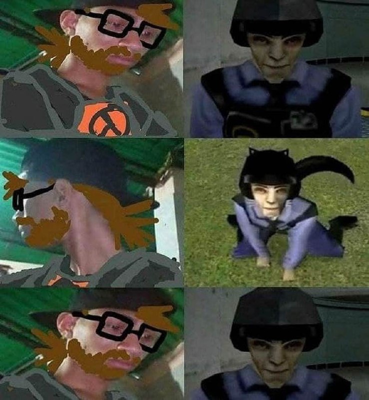 Выражение лица Говорящего Тома и солдат из Half-Life Мем, где выражение лица Говорящего Тома (нарисованное поверх человека) меняется с недовольного на озадаченное и обратно, а рядом показан солдат из игры Half-Life, повторяющий эти выражения