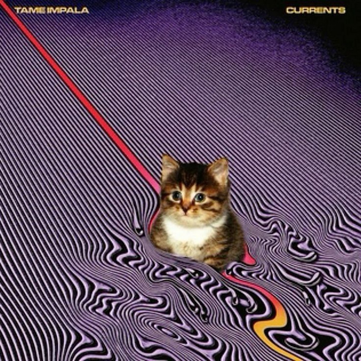 Кот на обложке Tame Impala Currents Кот на обложке альбома Tame Impala Currents