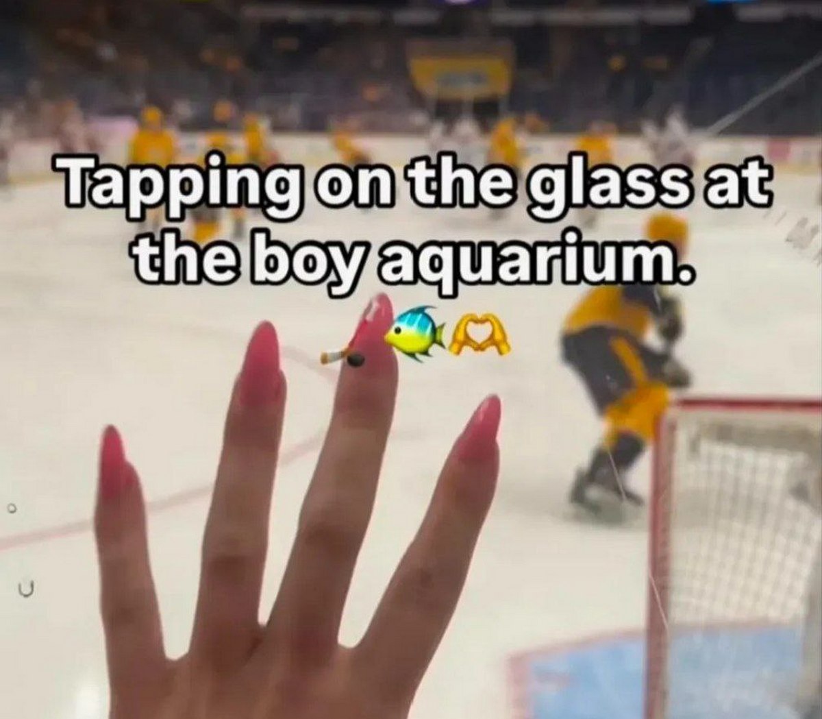 Tapping on the glass at the boy aquarium Девушка стучит по стеклу на хоккейном матче, сравнивая его с аквариумом для мальчиков.