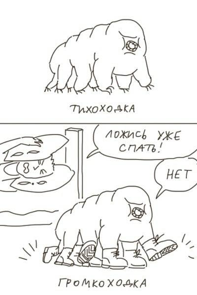 Тихоходка vs Громкоходка Мем Тихоходка vs Громкоходка