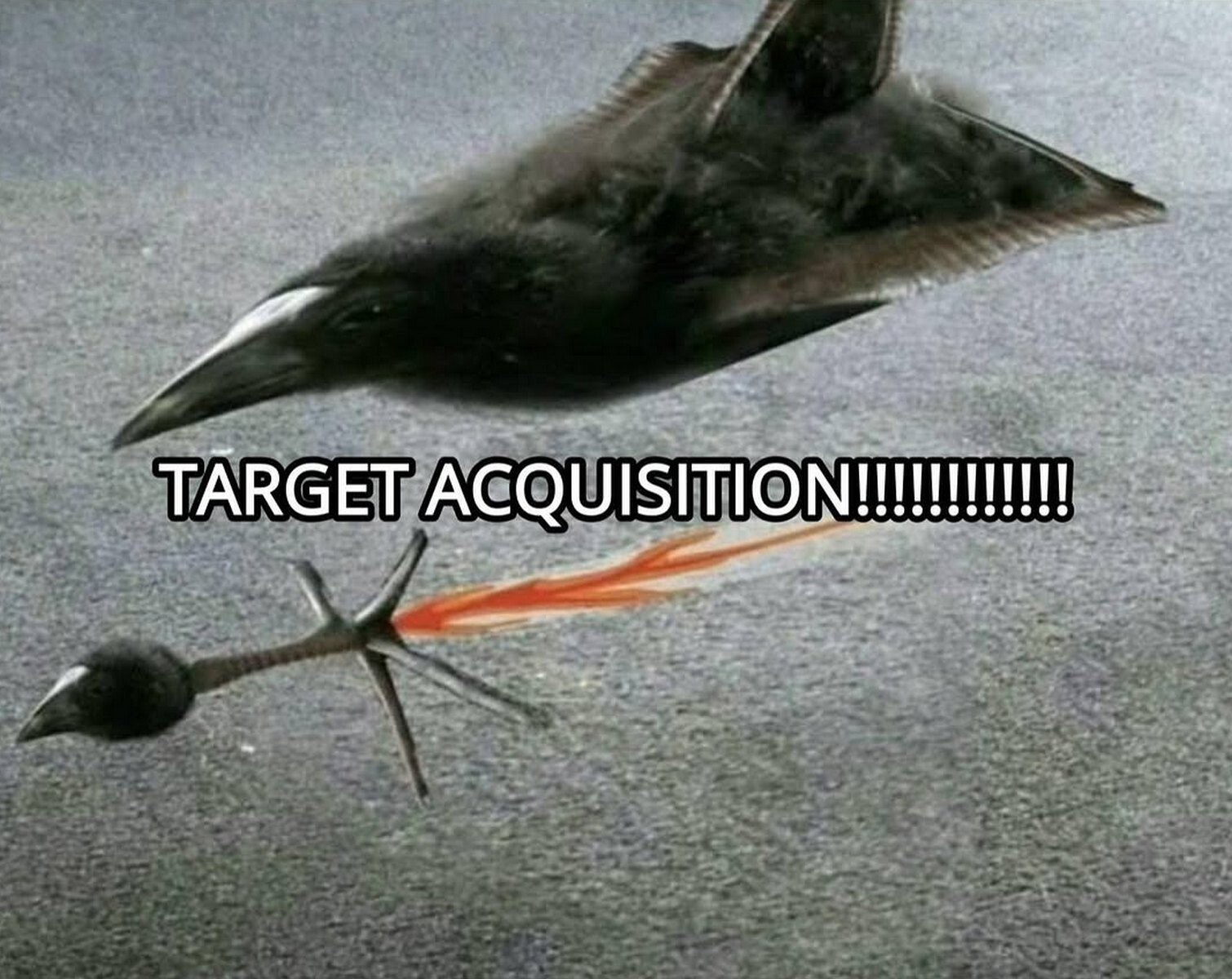 Мем с птицей, похожей на самолёт-«стелс», которая выстреливает ракетой-птицей с огненным следом и надписью "TARGET ACQUISITION!!!!!!!!!!!!!"