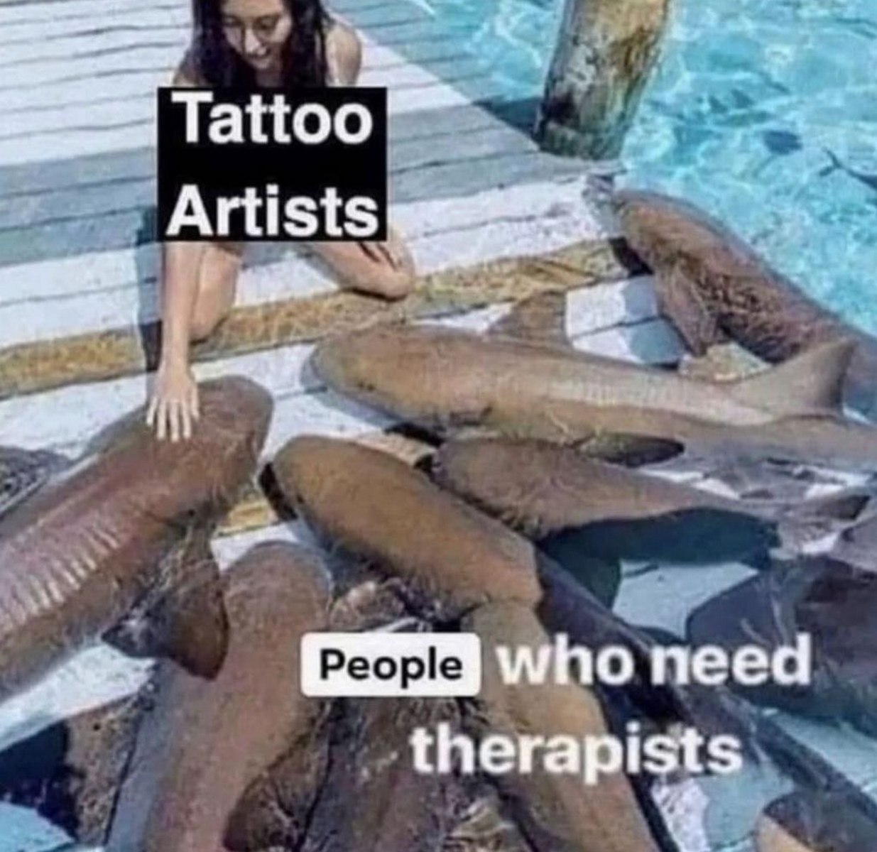 Tattoo Artists People who need therapists Девушка гладит акул с подписями Tattoo Artists и People who need therapists