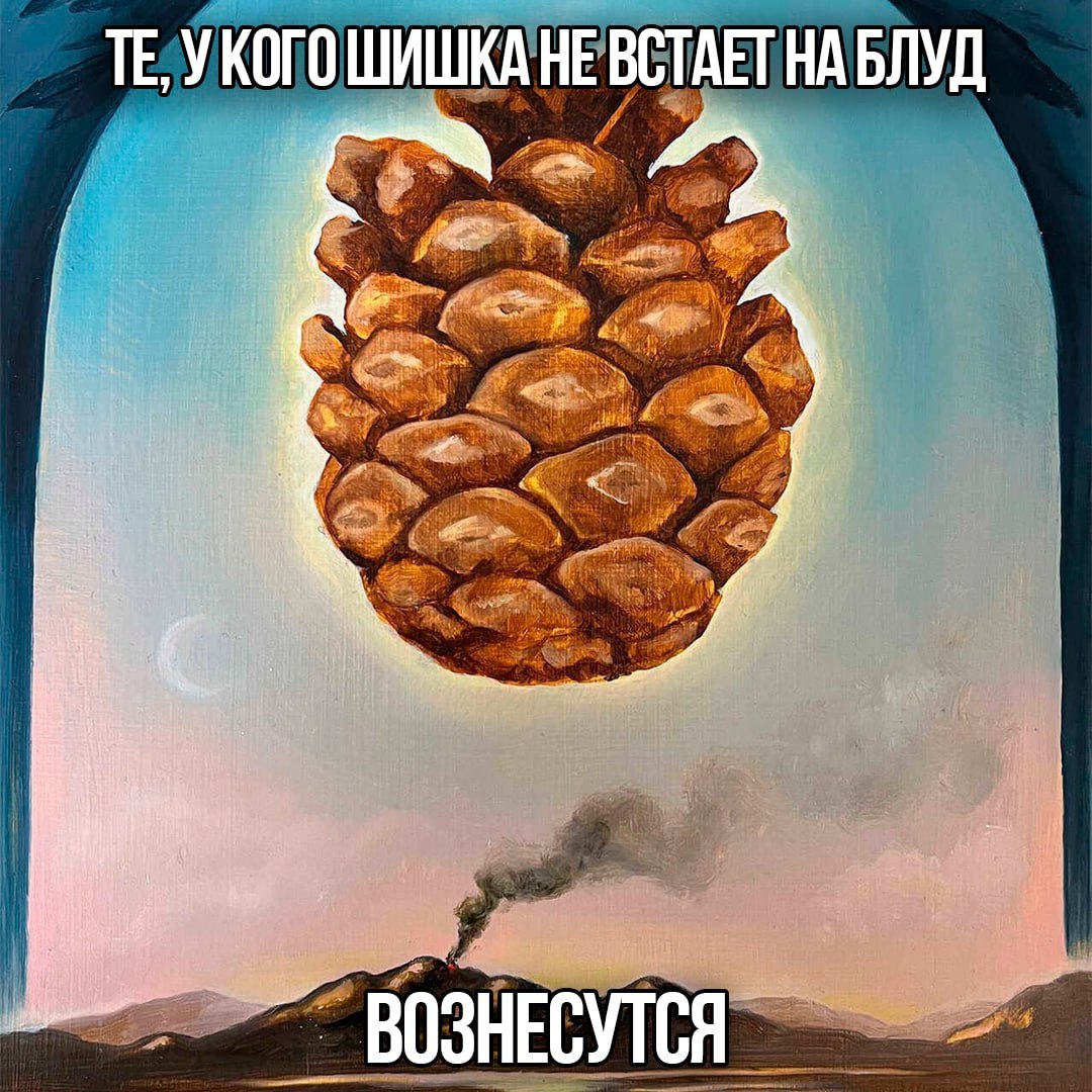 Те, у кого шишка не встает на блуд Сюрреалистическая картина с огромной шишкой и текстом «Те, у кого шишка не встает на блуд, вознесутся»