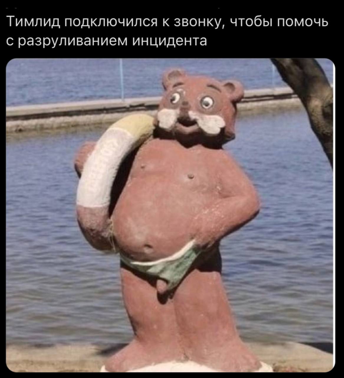 Тимлид подключился к звонку Тимлид подключился к звонку, чтобы помочь с разруливанием инцидента