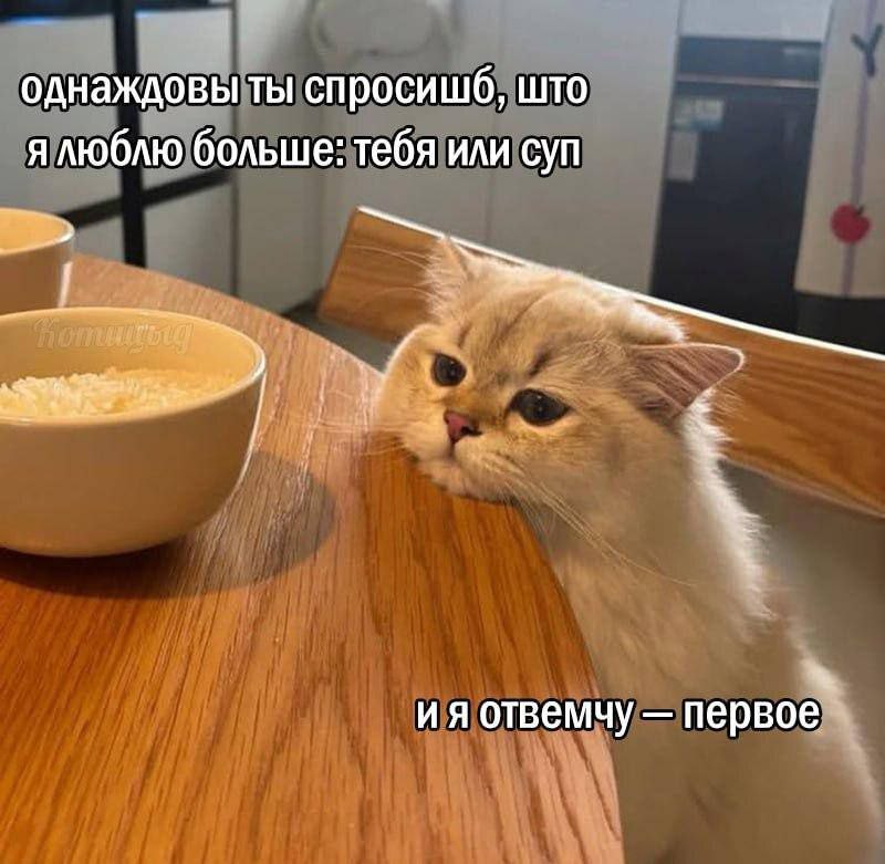 Тебя или суп Однажды ты спросишь, что я люблю больше: тебя или суп, и я отвечу — первое