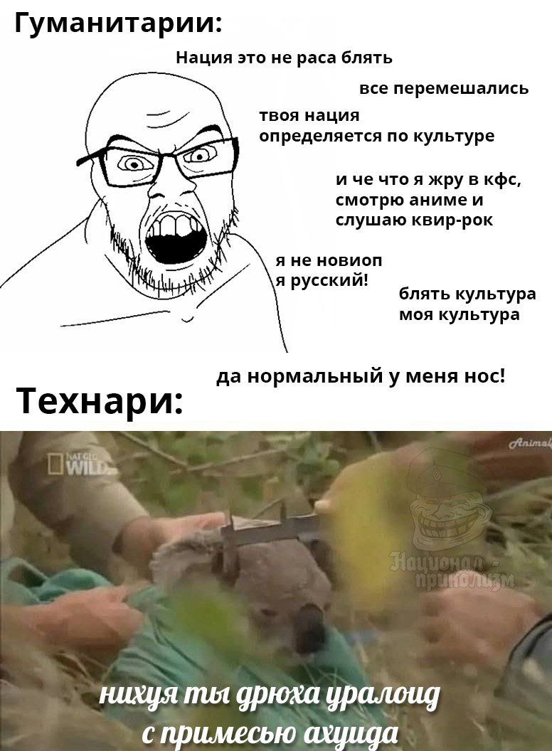 Технари измеряют нос коалы Человек измеряет нос коалы штангенциркулем под надписью "Технари:"
