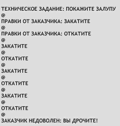 Техническое задание: покажите залупу Техническое задание: покажите залупу. Заказчик недоволен: вы дрочите!