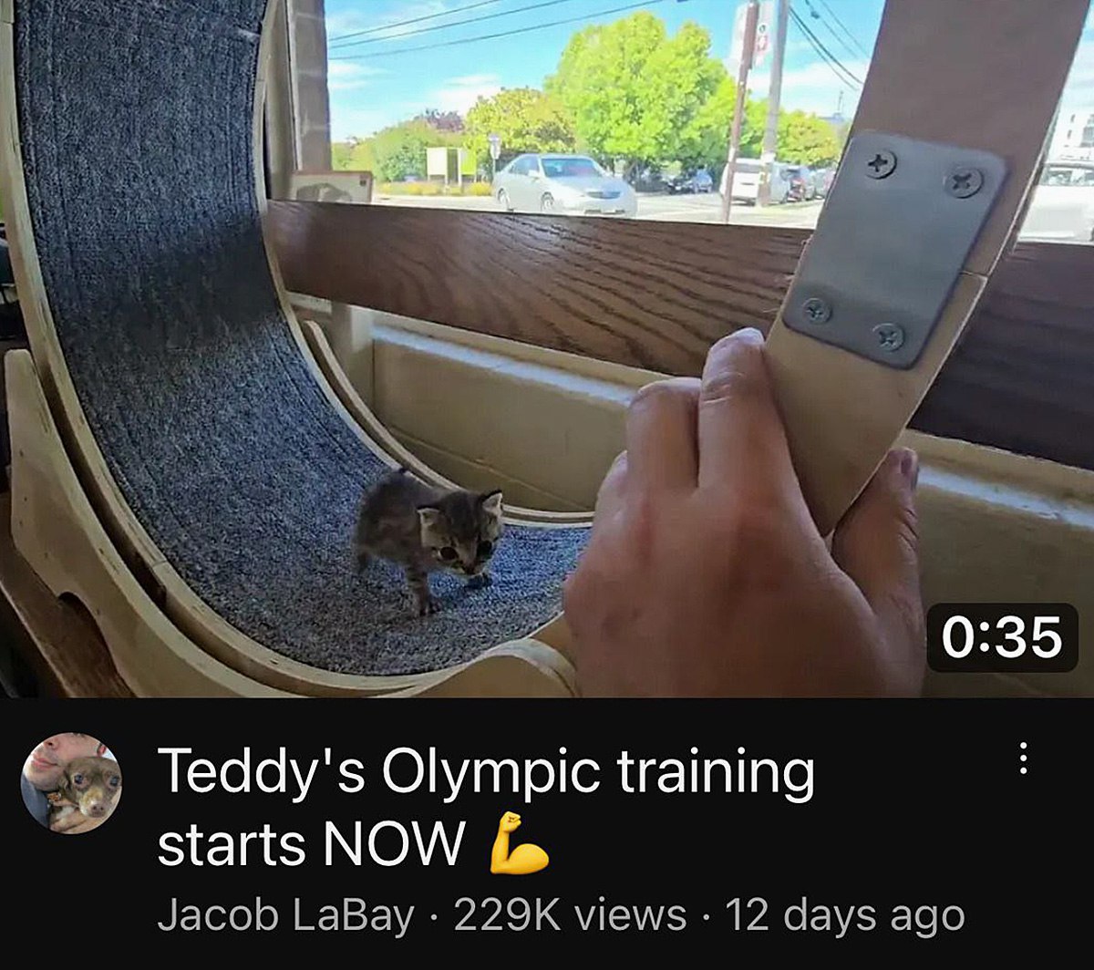 Teddy's Olympic training starts NOW Олимпийская тренировка Тедди начинается СЕЙЧАС