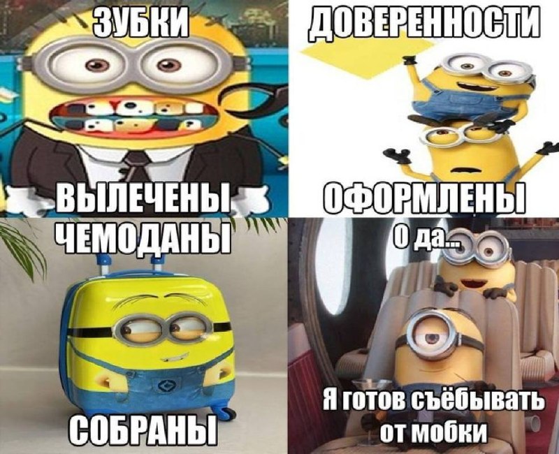 Миньоны подготовились к отъезду: зубы вылечены, доверенности оформлены, чемоданы собраны, и герой готов сбежать от мобилизации.