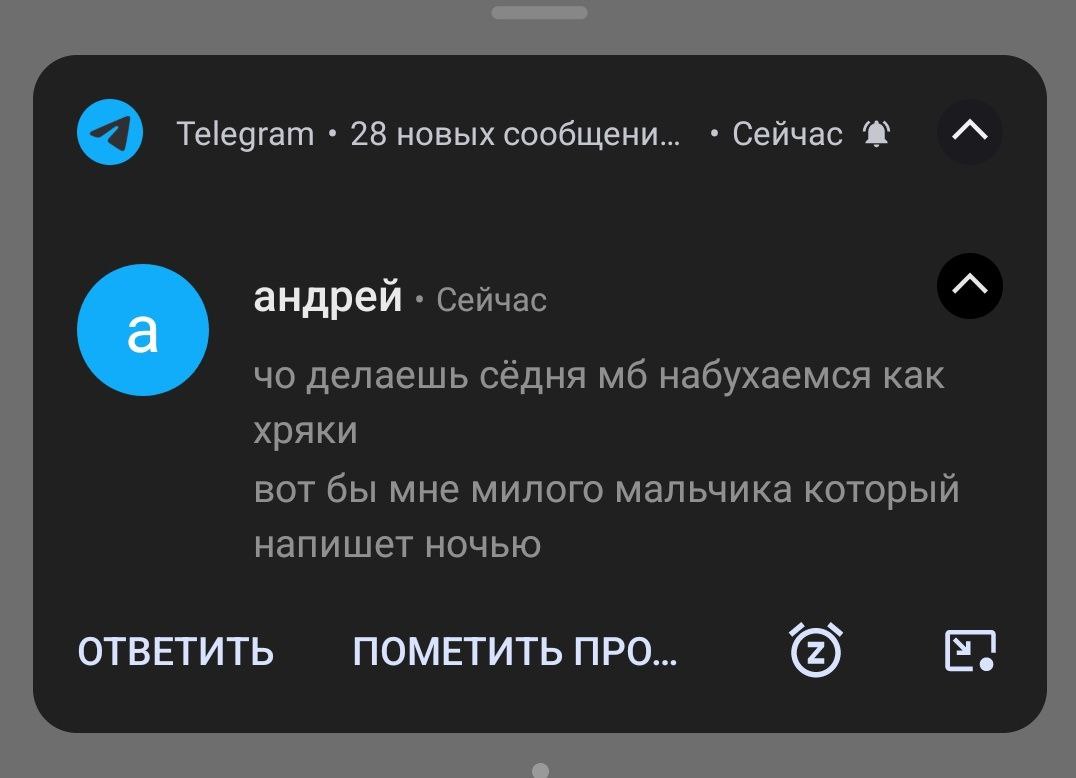 Сообщение от Андрея в Telegram Уведомление от Telegram с сообщением от Андрея, предлагающего напиться как "хряки" и желающего "милого мальчика, который напишет ночью".