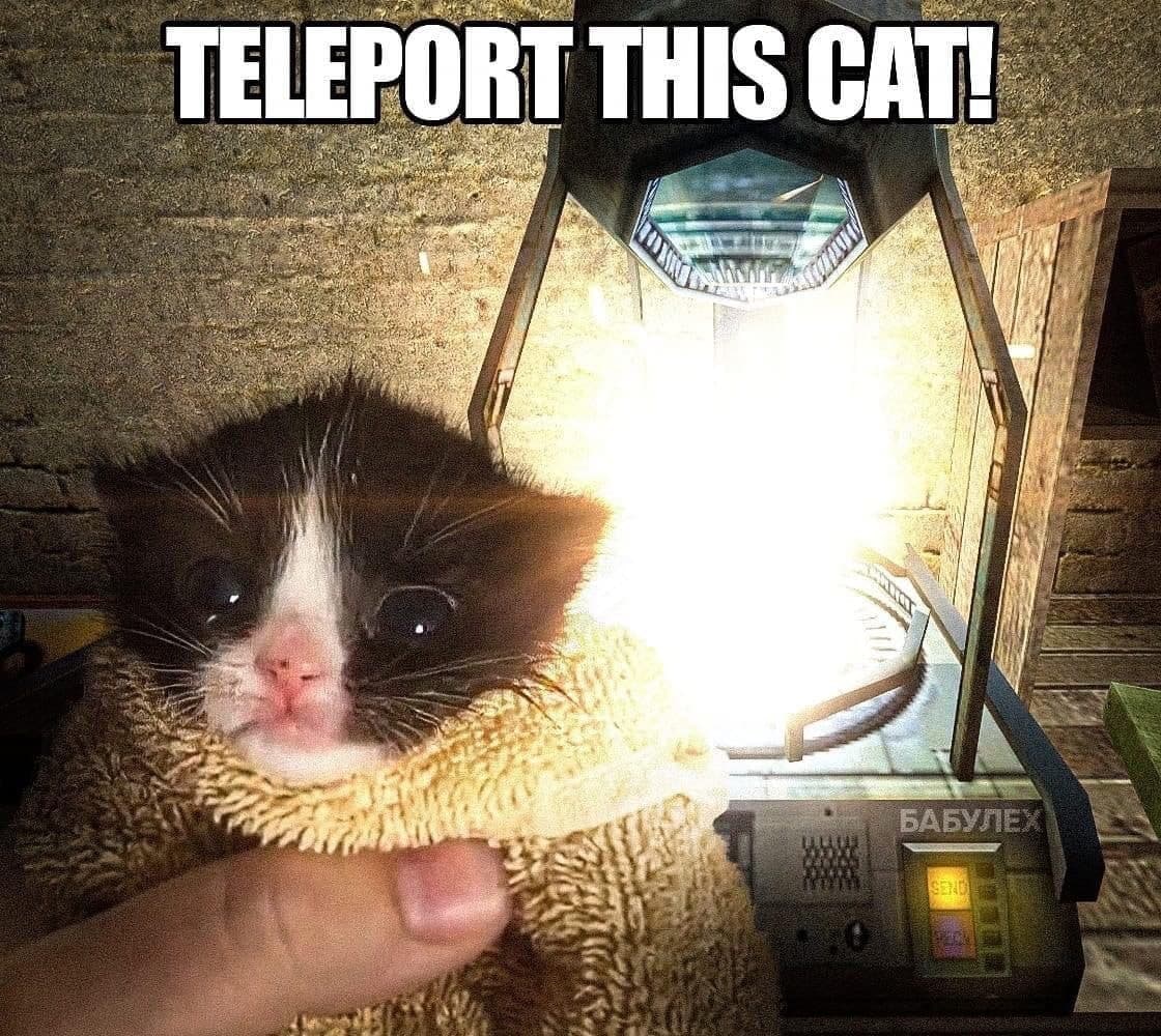 Teleport this cat Маленький черно-белый котенок, завернутый в полотенце, и ярко светящийся телепорт