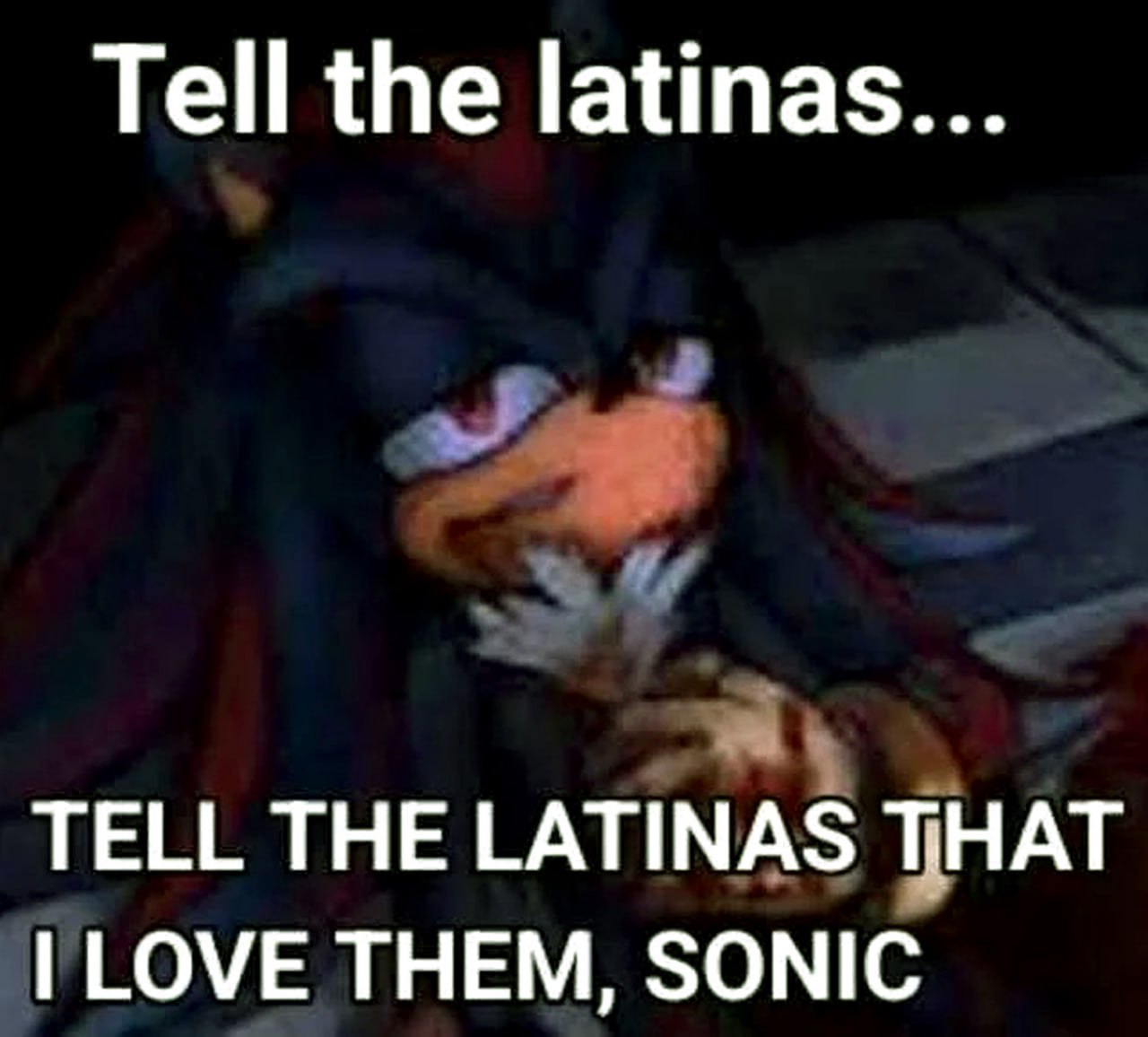 Tell the latinas that I love them, Sonic Мем с Шэдоу, который просит Соника сказать латиноамериканкам, что он их любит