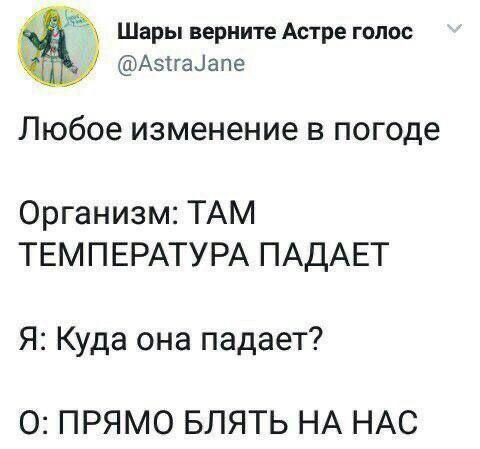 Организм: Там температура падает Мем с перепиской, где организм сообщает о резком падении температуры, а человек паникует, спрашивая, куда она падает
