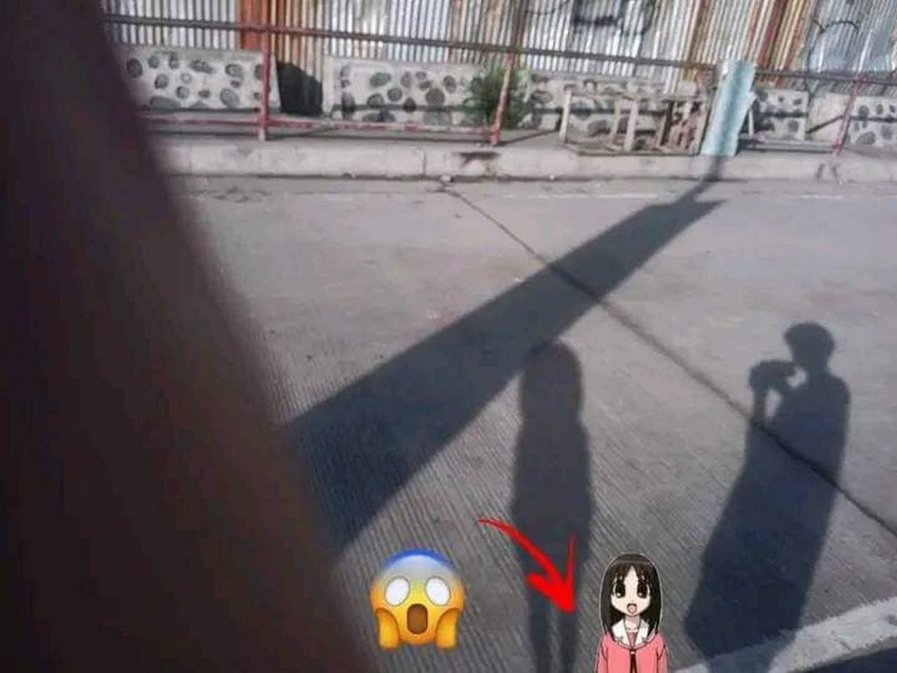 Тень похожа на член На асфальте лежит тень человека, а рядом с ней стоит нарисованная девушка, и ее тень похожа на мужской половой орган