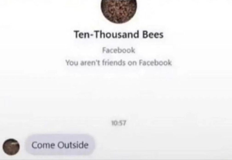 Ten-Thousand Bees Come Outside Мем с сообщением от «Десяти тысяч пчел» с текстом «Выходи наружу»