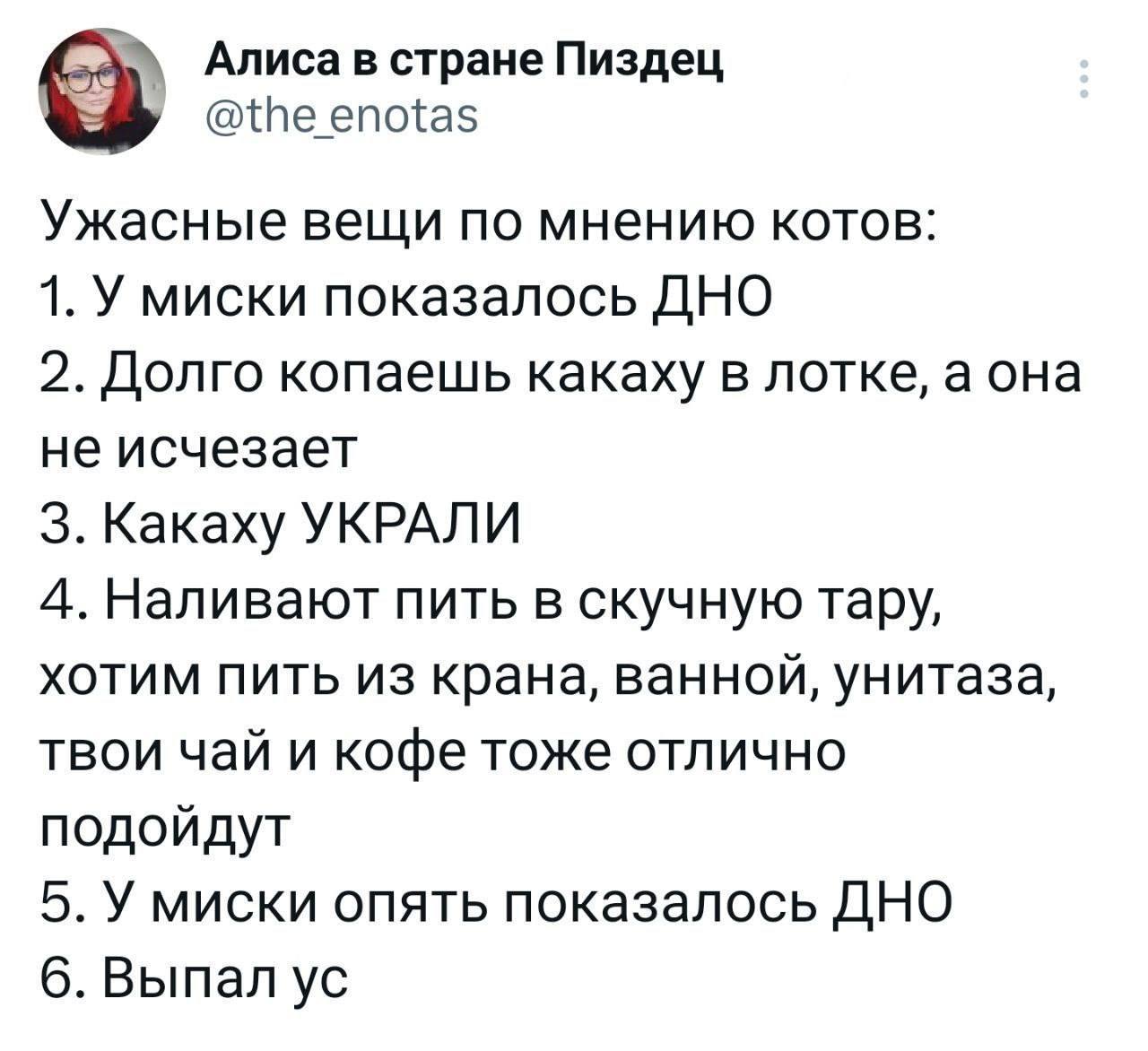 Ужасные вещи по мнению котов Список из шести пунктов, которые, по мнению котов, являются ужасными вещами, например, когда на дне миски показалось дно или пропала какаха.