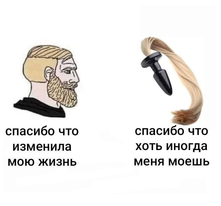 Мем с Чадом и анальной пробкой, выражающими благодарность за изменение жизни и за мытье соответственно.