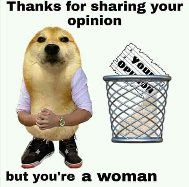 Thanks for sharing your opinion but you're a woman Мем с собакой сиба-ину, говорящей "Спасибо, что поделились своим мнением, но вы же женщина"