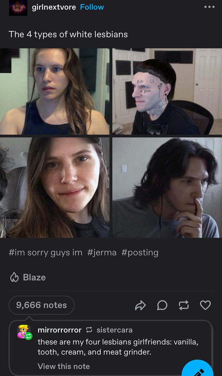 The 4 types of white lesbians 4 типа белых лесбиянок