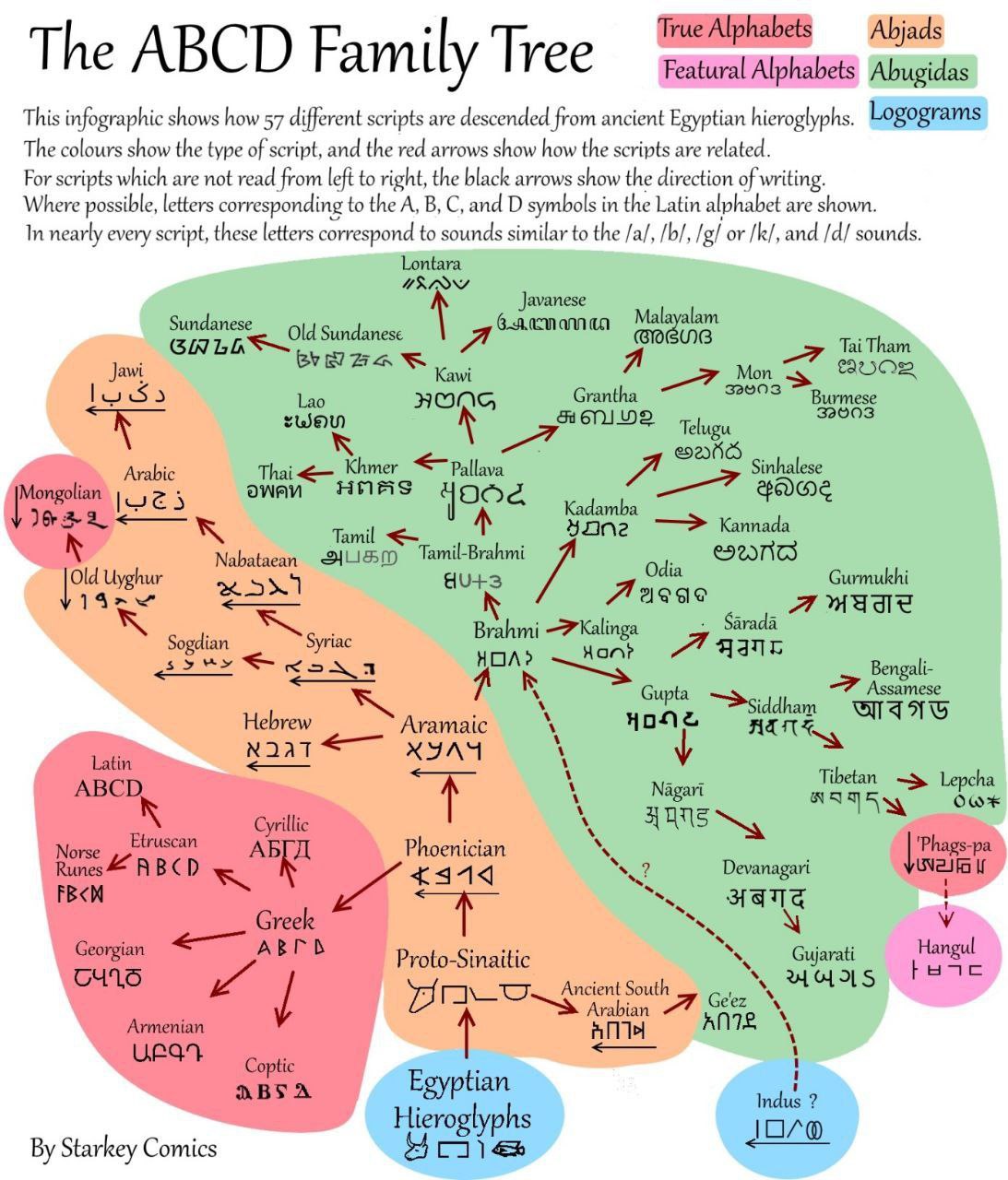 The ABCD Family Tree эволюция письменности Генеалогическое древо The ABCD Family Tree, показывающее эволюцию письменности от древнеегипетских иероглифов до современных алфавитов