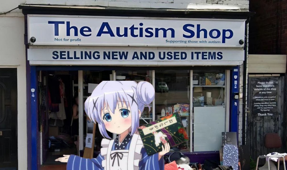 The Autism Shop с аниме-девочкой Мем с аниме-девочкой перед магазином "The Autism Shop", который продает новые и подержанные вещи для поддержки людей с аутизмом