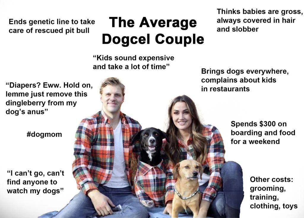 The Average Dogcel Couple Мем The Average Dogcel Couple с парой и двумя собаками в похожих рубашках, описывающий их отношение к детям и питомцам