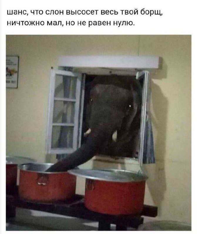 Шанс, что слон высосет весь твой борщ, ничтожно мал, но не равен нулю Слон высунул хобот в окно и пытается достать еду из кастрюли