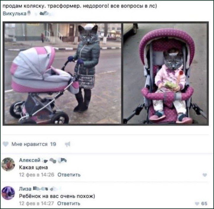 Кошка продаёт коляску с котёнком, а в комментариях шутят, что ребёнок очень похож на неё