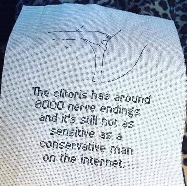 The clitoris has around 8000 nerve endings Мем про клитор и консервативного мужчину в интернете.