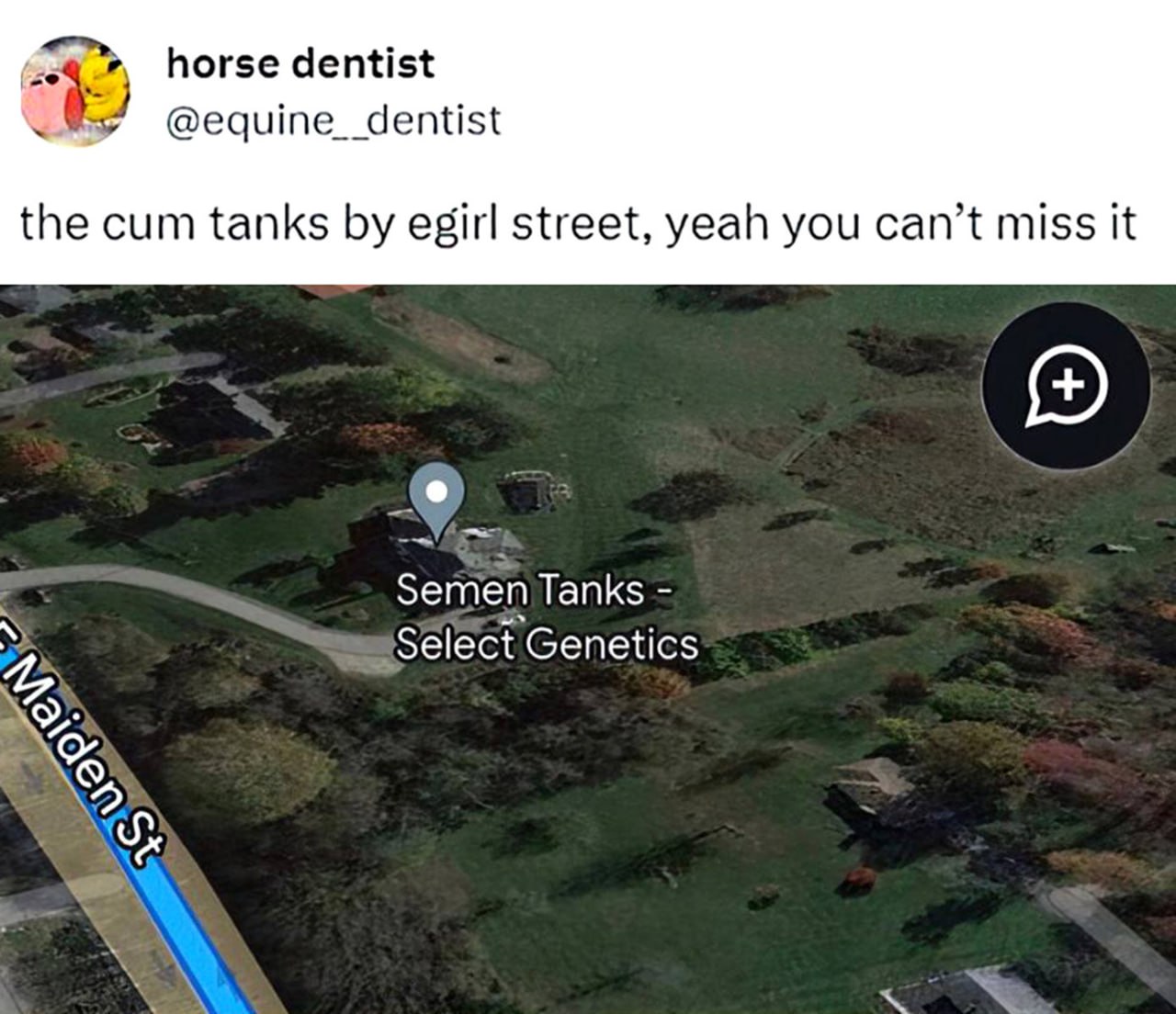 the cum tanks by egirl street Скриншот Google Карт с местоположением "Semen Tanks - Select Genetics" рядом с улицей E Maiden St, подписанный фразой "the cum tanks by egirl street, yeah you can't miss it".