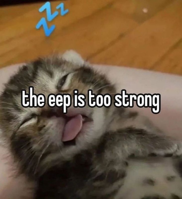 Сонный кот с высунутым языком и надписью «the eep is too strong» — сон слишком силён.