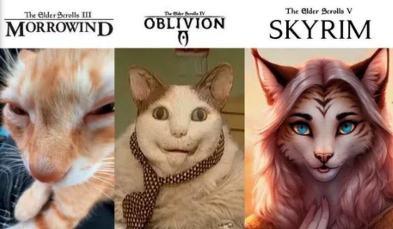The Elder Scrolls и коты Мем про эволюцию игр The Elder Scrolls с котами