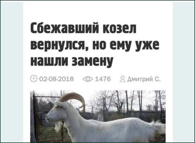 Сбежавший козел вернулся, но ему уже нашли замену