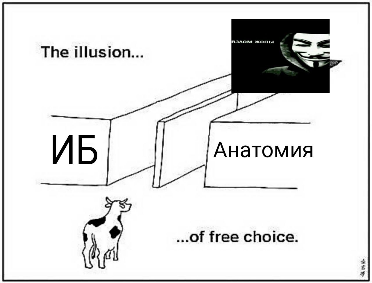 Иллюзия свободного выбора ИБ Анатомия Иллюзия свободного выбора с информатикой и анатомией