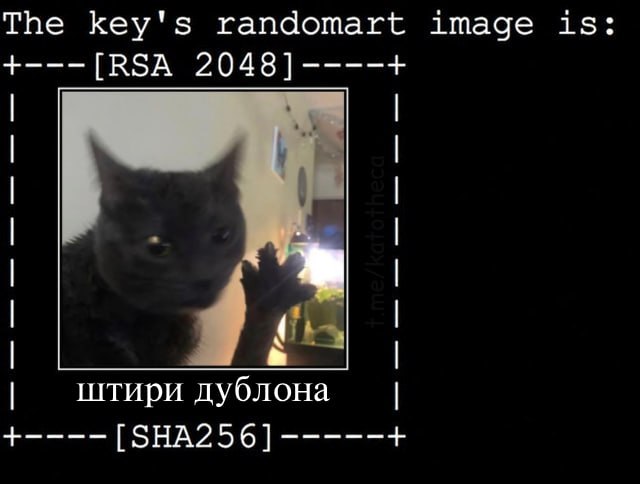 Фрагмент вывода SSH с надписью «The key's randomart image is:», где вместо randomart для ключа RSA 2048 показан чёрный кот с поднятой лапой