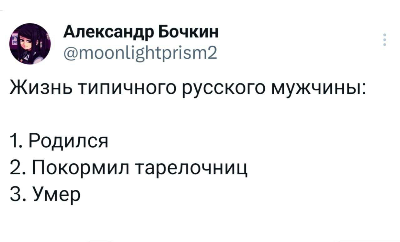 Жизнь типичного русского мужчины Жизнь типичного русского мужчины: родился, покормил тарелочниц, умер