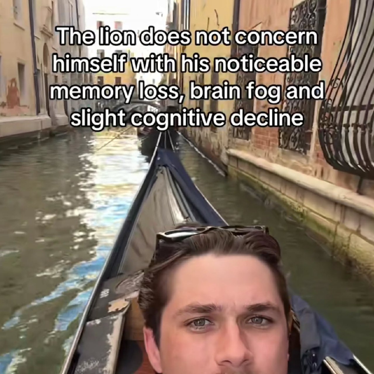 The lion does not concern himself with his noticeable memory loss Мужчина в гондоле с надписью «Лев не беспокоится о своей заметной потере памяти» на фоне канала в Венеции