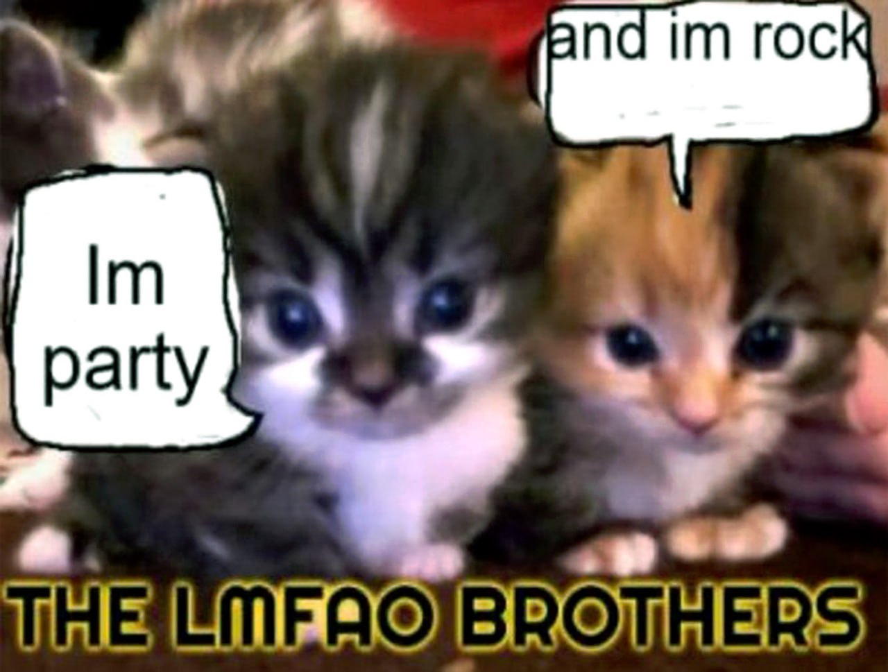 The LMFAO brothers Два милых котенка, «братья LMFAO» на мемной картинке, где один говорит «я вечеринка», а второй «и я рок», что является отсылкой к американскому музыкальному дуэту LMFAO