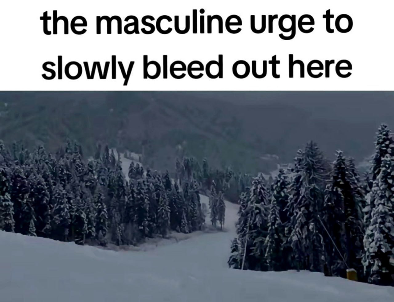 The masculine urge to slowly bleed out here Мем с надписью «Мужское желание медленно истекать кровью здесь» на фоне заснеженной горной дороги.