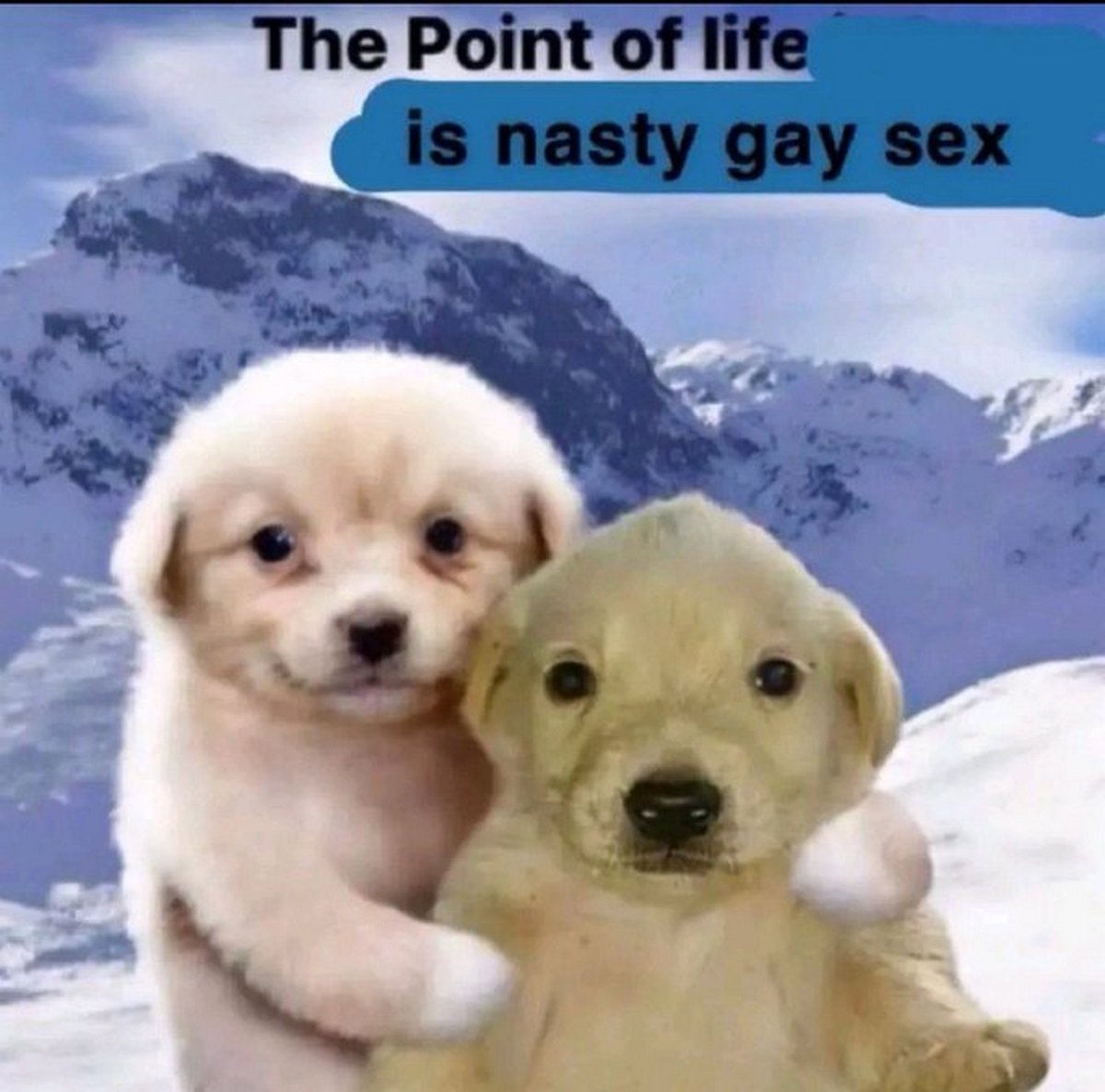 The Point of life is nasty gay sex Два милых щенка на фоне заснеженных гор с надписью о смысле жизни