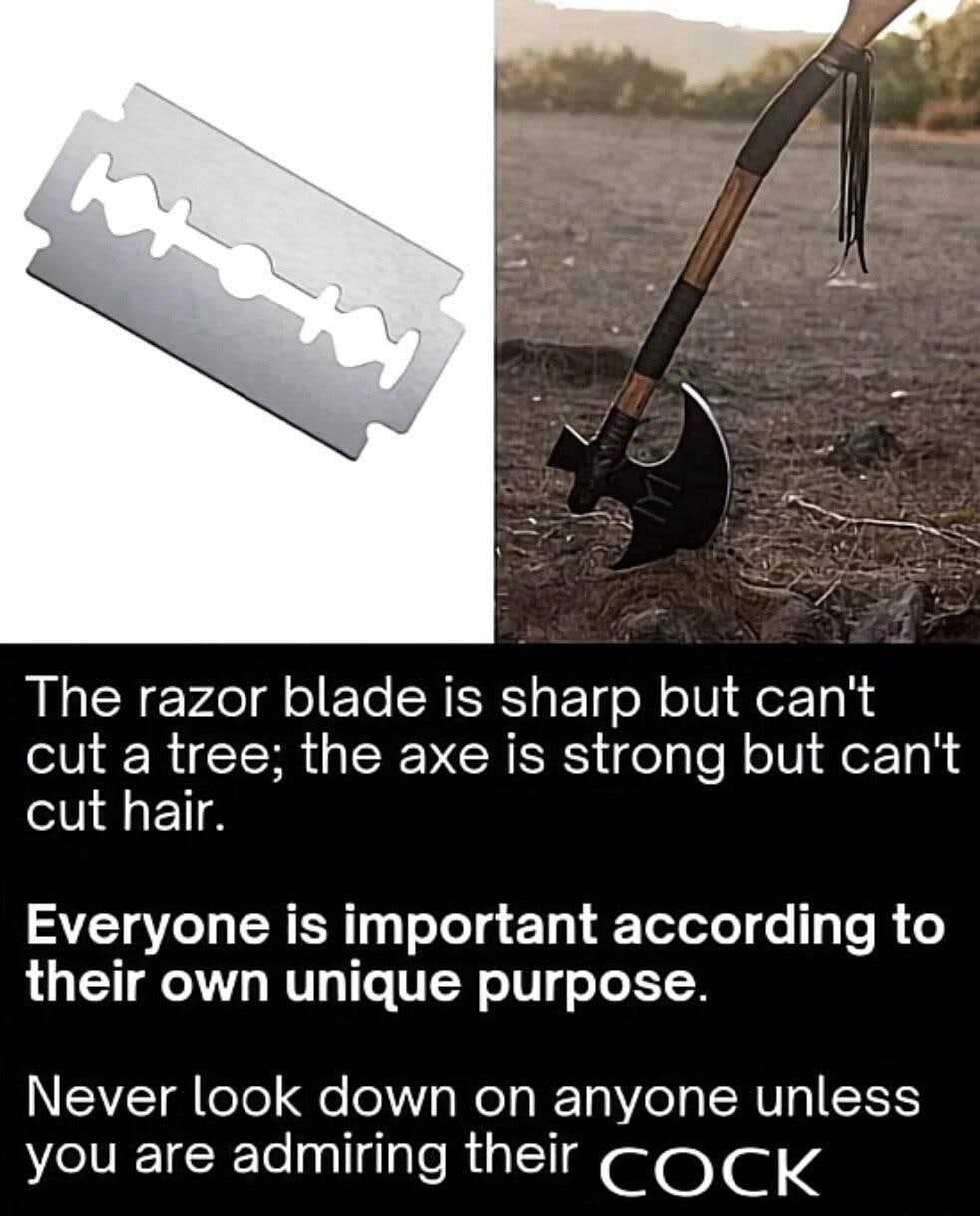 The razor blade is sharp but can't cut a tree Мем с бритвой и топором и надписью про их предназначение и восхищение пенисом
