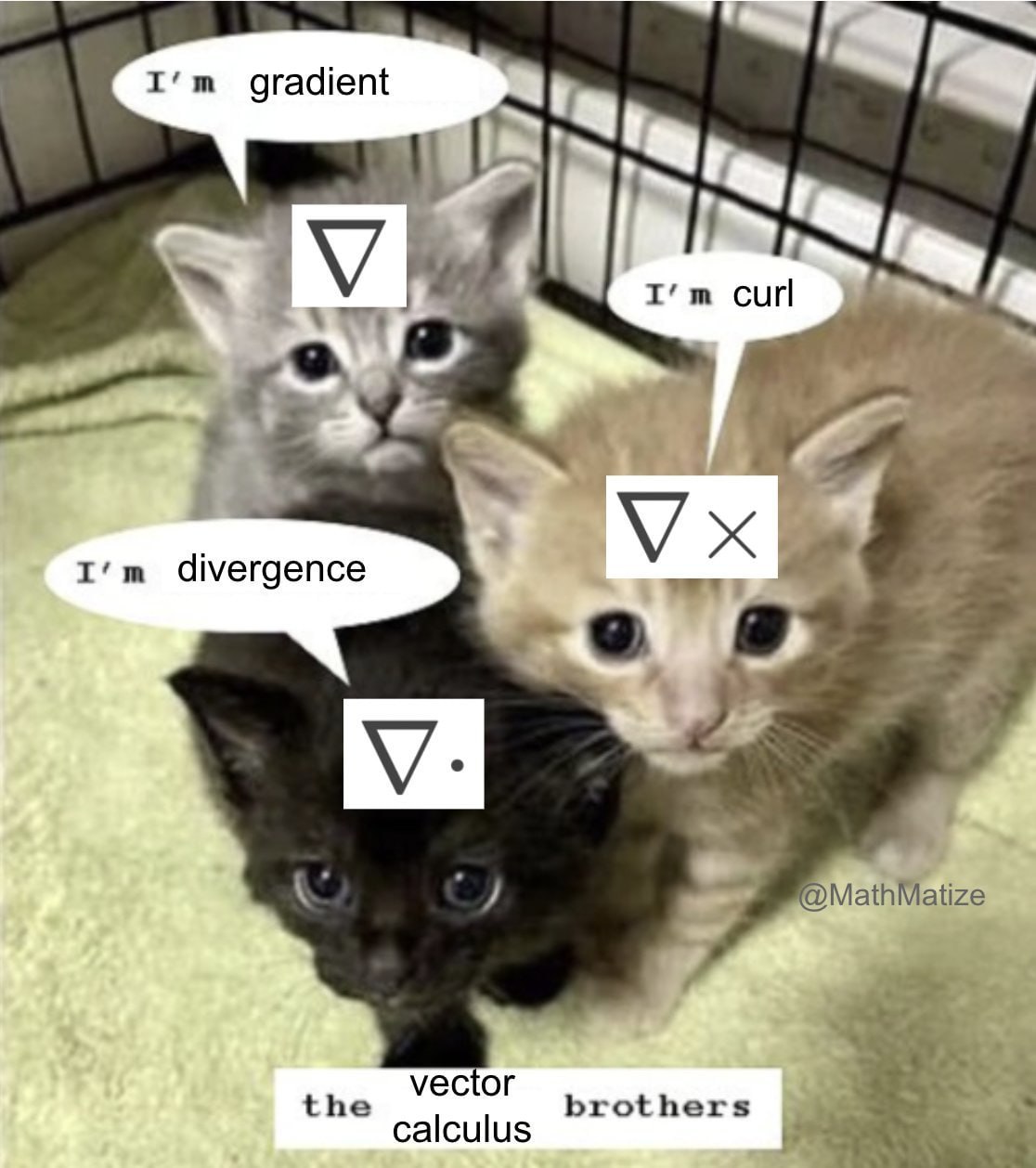 Котята братья векторного исчисления Мем с тремя милыми котятами, представляющими градиент, дивергенцию и ротор из векторного исчисления.