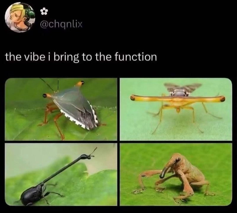 Коллаж со странными насекомыми и подписью «the vibe i bring to the function» — «какую атмосферу я привношу на тусовку».