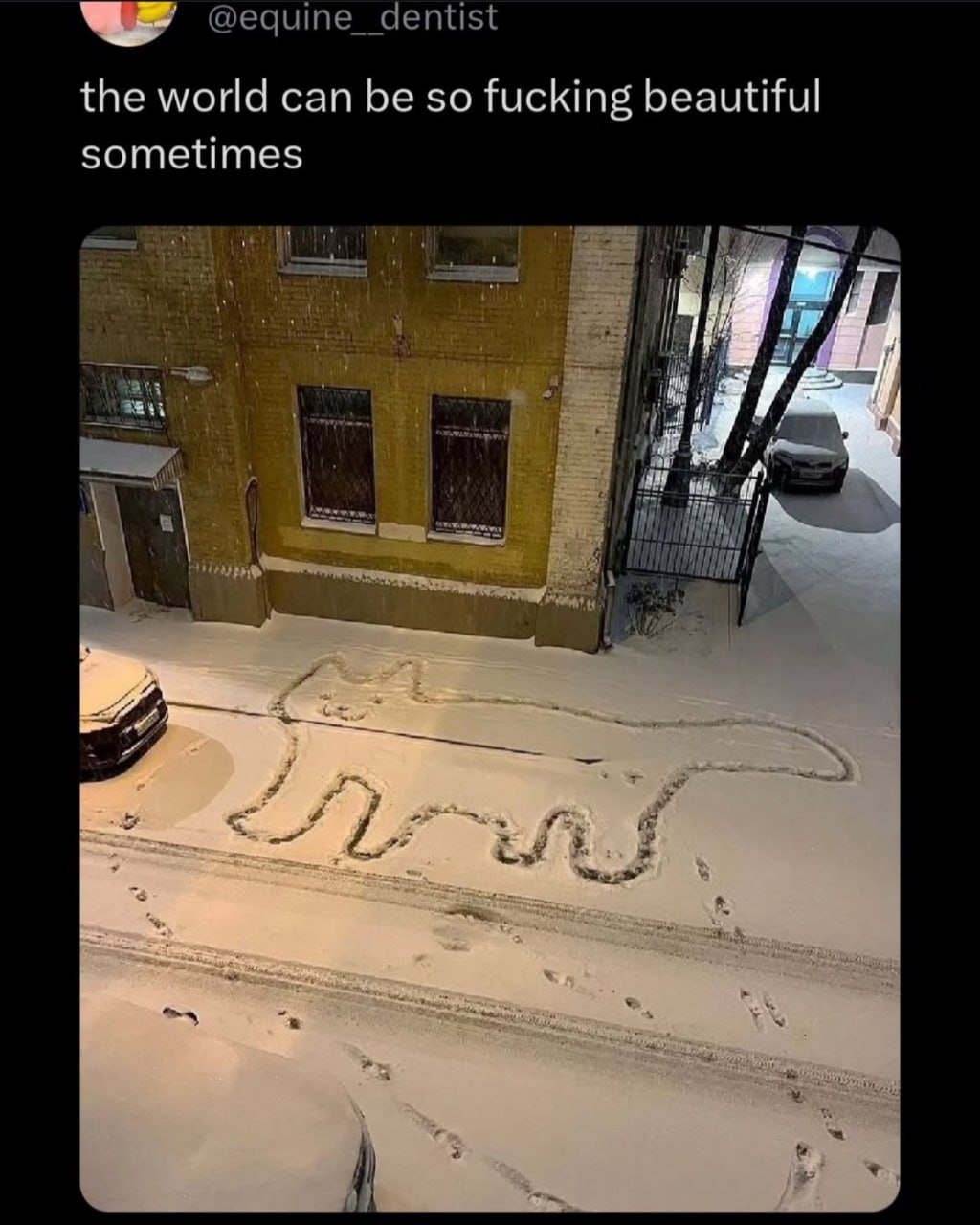 the world can be so fucking beautiful sometimes На заснеженной улице кто-то нарисовал большой контур кота, используя следы на снегу. Надпись сверху гласит: "Мир иногда бывает таким чертовски прекрасным".