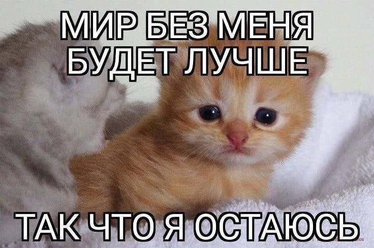 Мир без меня будет лучше, так что я остаюсь Маленький рыжий котенок с грустными глазами сидит на полотенце с подписью "Мир без меня будет лучше, так что я остаюсь"