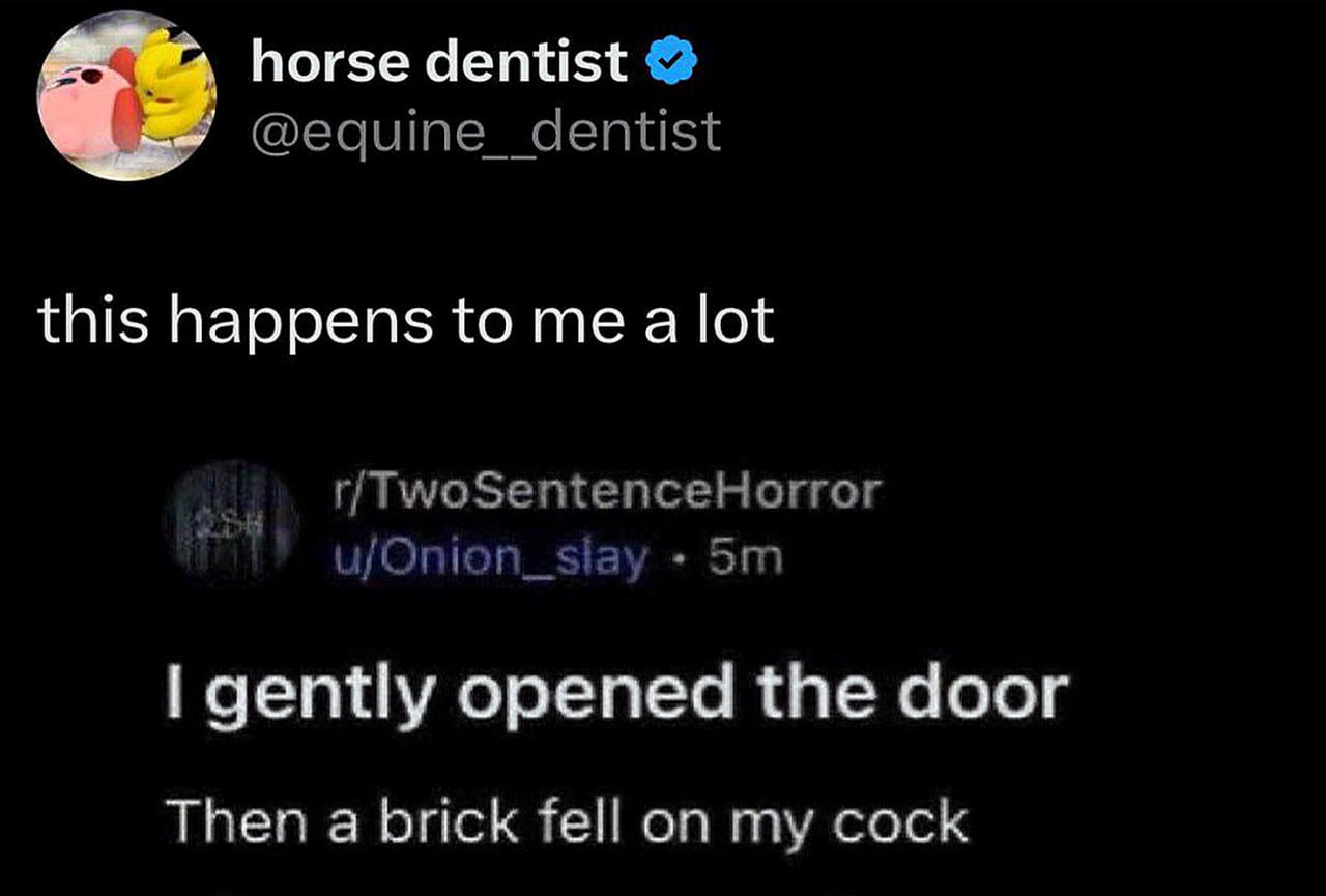 Then a brick fell on my cock Мем с кирпичом, падающим на пенис после открытия двери