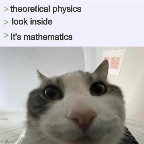 Theoretical physics look inside it’s mathematics Мем с котом и надписью "Theoretical physics, look inside, it’s mathematics"