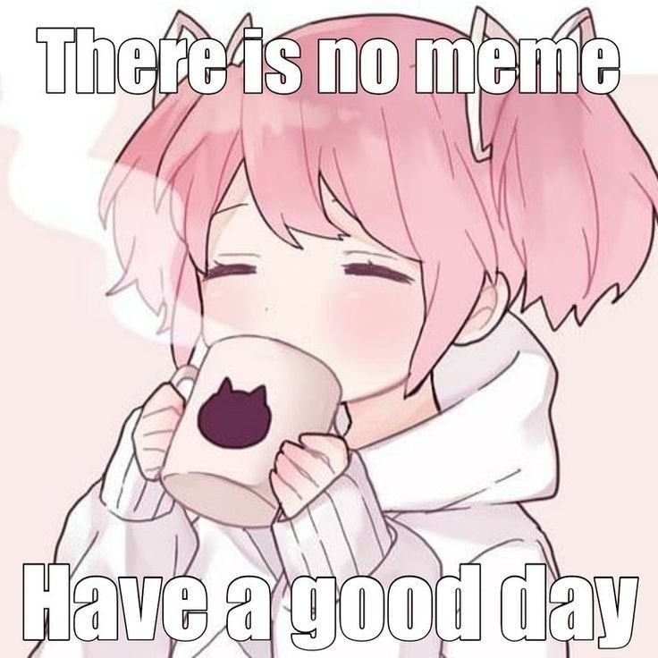 Милая аниме-девушка пьёт чай с надписью «There is no meme. Have a good day» — «Здесь нет мема. Хорошего дня».