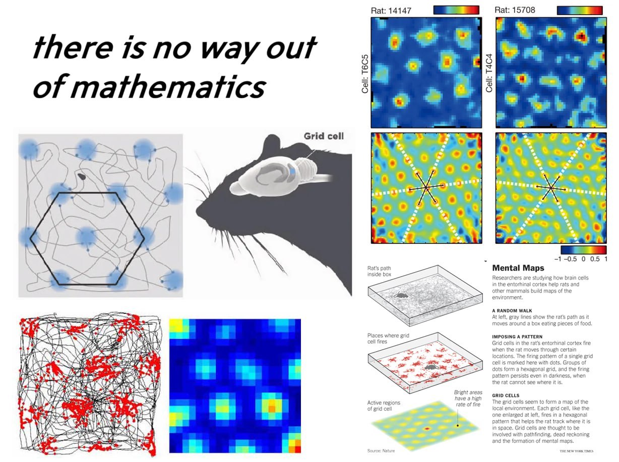 Научные схемы клеток решётки и маршрутов крысы с надписью «there is no way out of mathematics» — «из математики нет выхода».