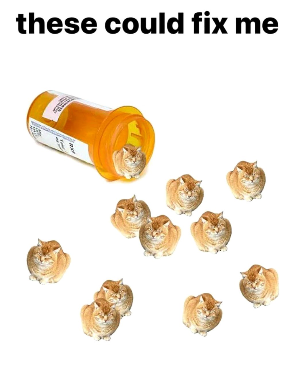 These could fix me Мем про таблетки-котиков, которые могли бы меня исправить
